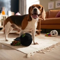 Frisco Halloween Succulents Plush Squeaky Dog Toy -Pet Dog Supplies Shop 344164 PT3. AC SS1800 V1657657049