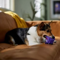 Frisco Halloween Vampire Latex Squeaky Dog Toy 6 Frisco Halloween Vampire Latex Squeaky Dog Toy -Pet Dog Supplies Shop 344166 PT3. AC SS1800 V1657657049