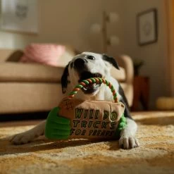 Frisco Halloween "Will Do Tricks For Treats" Sign Plush With Rope Squeaky Dog Toy 9 Frisco Halloween "Will Do Tricks For Treats" Sign Plush With Rope Squeaky Dog Toy -Pet Dog Supplies Shop 344172 PT3. AC SS1800 V1657657049