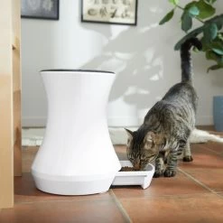 Frisco Automatic Cat & Dog Feeder, White, 13.5 Cup -Pet Dog Supplies Shop 345285 PT6. AC SS1800 V1658219294
