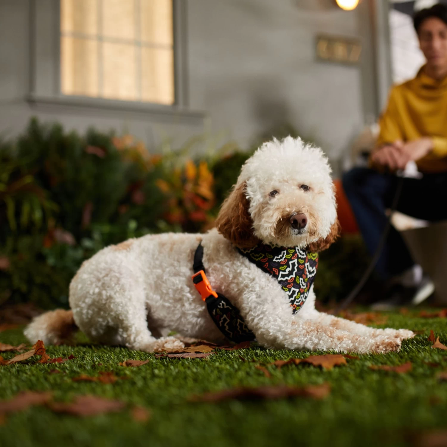 Frisco Halloween Over-The-Head Reflective Bat Wing Vest Harness 6 Frisco Halloween Over-The-Head Reflective Bat Wing Vest Harness - Image 6