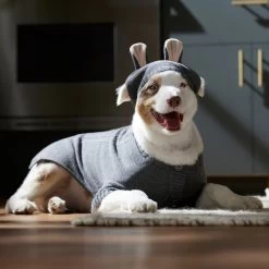 Frisco Bunny Hooded Dog & Cat Sweater -Pet Dog Supplies Shop 353571 PT6. AC SS1800 V1660749538