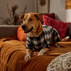 Frisco Plaid Dog & Cat Fleece Pajamas -Pet Dog Supplies Shop 353755 PT6. AC SS1800 V1660749967