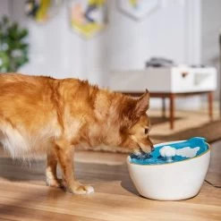 Frisco Ceramic Clouds Dog & Cat Fountain 10 Frisco Ceramic Clouds Dog & Cat Fountain -Pet Dog Supplies Shop 355803 PT4. AC SS1800 V1665684810