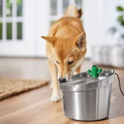 Frisco Stainless Steel Cactus & Leaf Dog & Cat Fountain -Pet Dog Supplies Shop 355814 PT5. AC SS1800 V1665683869