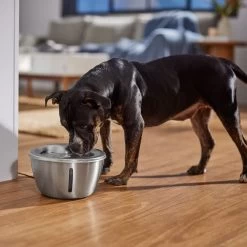 Frisco Stainless Steel Heart Dog & Cat Fountain -Pet Dog Supplies Shop 355816 PT5. AC SS1800 V1665684540