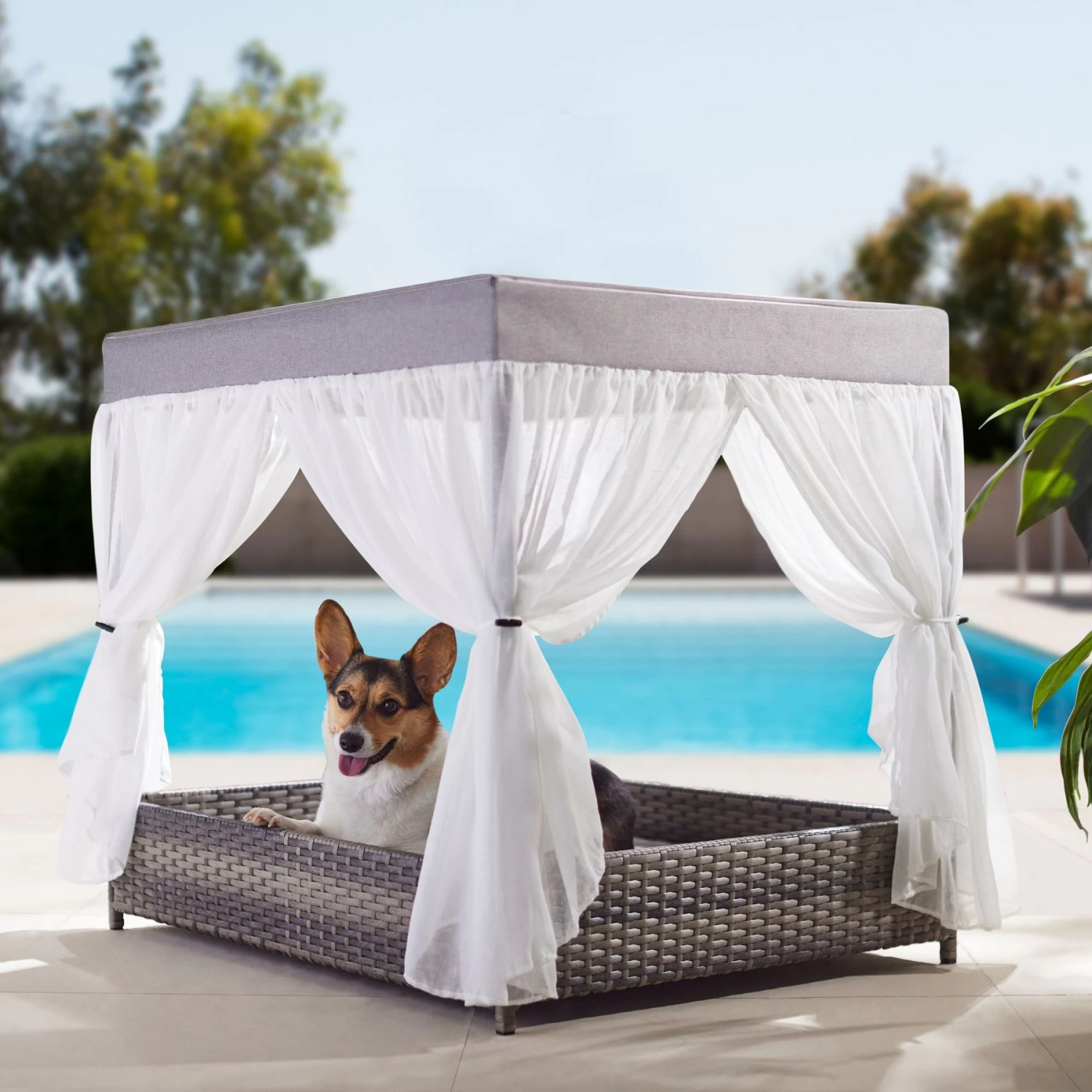 Frisco Outdoor Wicker Canopy Dog Bed 1 Frisco Outdoor Wicker Canopy Dog Bed