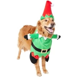 Frisco Front Walking Elf Dog & Cat Costume -Pet Dog Supplies Shop 357956 PT4. AC SS1800 V1660757458