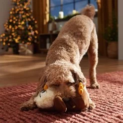 Frisco Holiday Festive Owl Plush Squeaky Dog Toy 6 Frisco Holiday Festive Owl Plush Squeaky Dog Toy -Pet Dog Supplies Shop 360919 PT3. AC SS1800 V1661874361