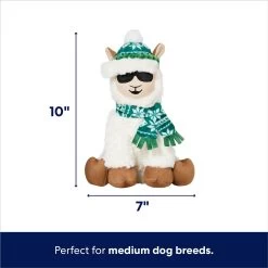New Release -Pet Dog Supplies Shop 360924 PT1. AC SS1800 V1695046159