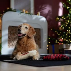 Frisco Holiday "Happy Pawlidays" Bone Plush Squeaky Dog Toy, Medium, 2 Count -Pet Dog Supplies Shop 360942 PT3. AC SS1800 V1661874360