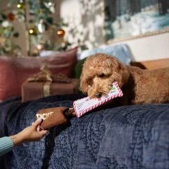 Frisco Holiday Home For The Holidays Airline Ticket Bungee Plush Squeaky Dog Toy -Pet Dog Supplies Shop 360966 PT3. AC SS1800 V1661874362