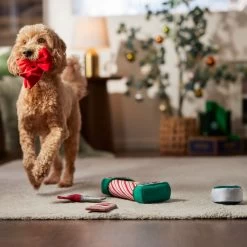 Frisco Holiday Gift Wrapping Set Plush Squeaky Dog Toy -Pet Dog Supplies Shop 360968 PT3. AC SS1800 V1661874420