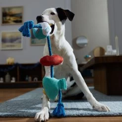 Frisco Hanukkah Celebration Plush With Rope Squeaky Dog Toy -Pet Dog Supplies Shop 360986 PT3. AC SS1800 V1661874063