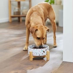 Frisco Elevated Terrazzo Non-skid Ceramic Bowl With Bamboo Stand 11 Frisco Elevated Terrazzo Non-skid Ceramic Bowl With Bamboo Stand -Pet Dog Supplies Shop 363375 PT2. AC SS1800 V1657657266