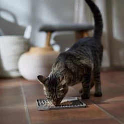 Frisco Non-skid Square Silicone Dog & Cat Lick Mat -Pet Dog Supplies Shop 363402 PT3. AC SS1800 V1665170734