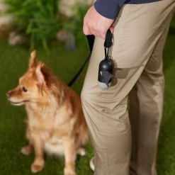 Frisco Dog Poop Bag Dispenser, 15 Count -Pet Dog Supplies Shop 363846 PT5. AC SS1800 V1669100746
