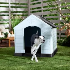 Frisco Plastic Outdoor Dog House With Elevated Platform