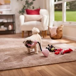 Frisco Valentine Rope, TPR & Plush Variety Pack Dog Toy -Pet Dog Supplies Shop 371077 PT3. AC SS1800 V1668737456