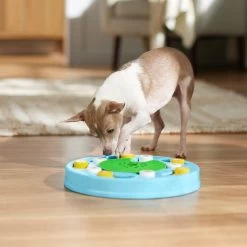 Frisco Seek & Discover Interactive Puzzle Dog Toy, Moderate -Pet Dog Supplies Shop 506250 PT5. AC SS1800 V1674664929
