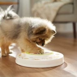 Frisco Tiered Cake Interactive Puzzle Dog Toy, Easy -Pet Dog Supplies Shop 506346 PT5. AC SS1800 V1674666566