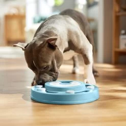 Frisco Two Tier Interactive Puzzle Dog Toy, Easy -Pet Dog Supplies Shop 506370 PT5. AC SS1800 V1674671566