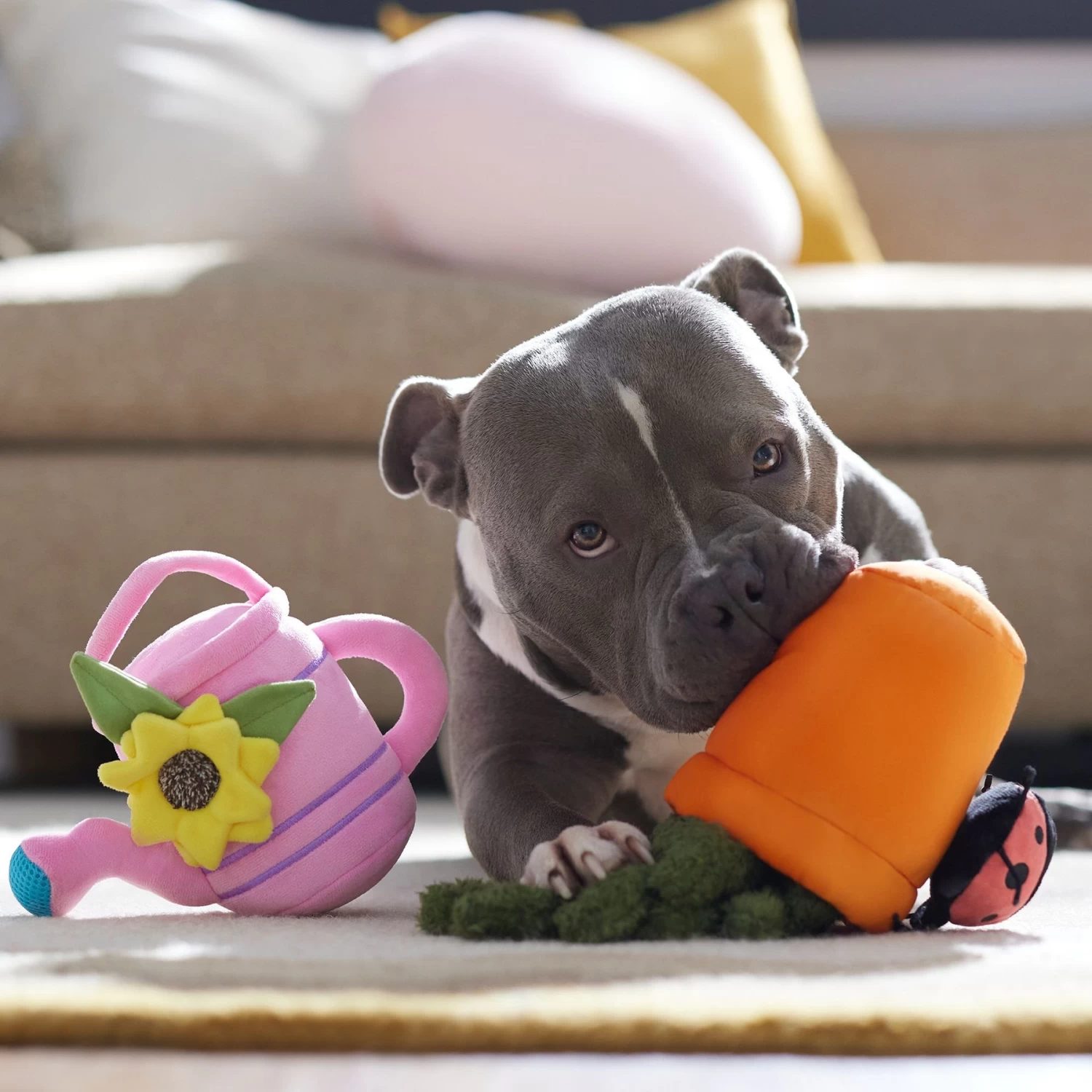 Frisco Spring Potted Plant And Watering Can Plush Squeaky Dog Toy 4 Frisco Spring Potted Plant And Watering Can Plush Squeaky Dog Toy - Image 4