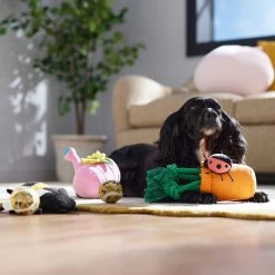 Frisco Spring Plush & Rope Variety Pack Squeaky Dog Toy -Pet Dog Supplies Shop 541526 PT4. AC SS1800 V1702500565