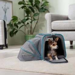 Pet Dog Supplies Shop 31 Frisco Single Soft Sided Expandable Airline Approved Dog & Cat Carrier