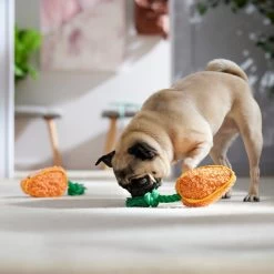 Frisco Easter Carrot Plush With Rope Squeaky Dog Toy 8 Frisco Easter Carrot Plush With Rope Squeaky Dog Toy -Pet Dog Supplies Shop 550486 PT4. AC SS1800 V1702500565