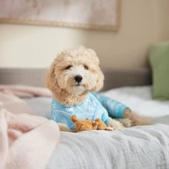 Frisco Blue Ocean Waves Dog & Cat Jersey PJs -Pet Dog Supplies Shop 556142 PT5. AC SS1800 V1674828705