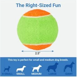 Frisco Dumbbell TPR Fetch Dog Toy + 3 Items -Pet Dog Supplies Shop 582446 PT6. AC SS1800 V1658238980