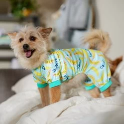 Frisco Go Bananas Dog & Cat Jersey PJs -Pet Dog Supplies Shop 608998 PT6. AC SS1800 V1676642341