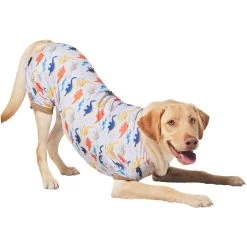 Frisco Dinosaur Dog & Cat Jersey PJs -Pet Dog Supplies Shop 609062 PT4. AC SS1800 V1681488688