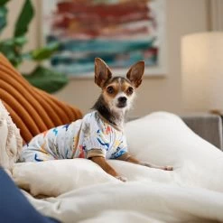 Frisco Dinosaur Dog & Cat Jersey PJs -Pet Dog Supplies Shop 609062 PT6. AC SS1800 V1676643314