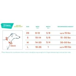 Frisco Solid Nylon Dog Leash + 4 Items -Pet Dog Supplies Shop 623766 PT6. AC SS1800 V1662739135