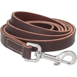 Frisco Top Grain Leather Leash + 4 Items 12 Frisco Top Grain Leather Leash + 4 Items -Pet Dog Supplies Shop 630958 PT3. AC SS1800 V1662739527