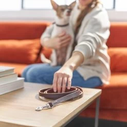 Frisco Top Grain Leather Leash + 4 Items 13 Frisco Top Grain Leather Leash + 4 Items -Pet Dog Supplies Shop 630958 PT4. AC SS1800 V1662742186