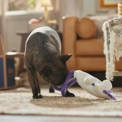 Frisco Halloween Bunny Ghost Plush Squeaky Dog Toy 8 Frisco Halloween Bunny Ghost Plush Squeaky Dog Toy -Pet Dog Supplies Shop 667878 PT3. AC SS1800 V1689340856