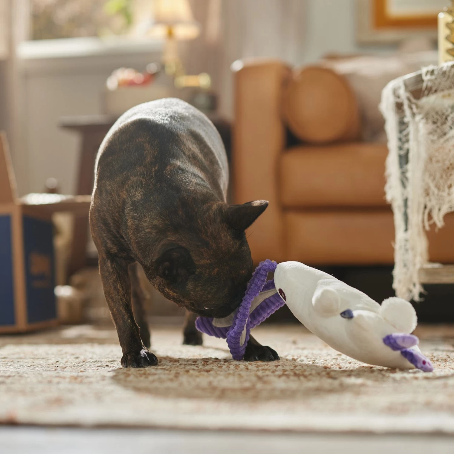 Frisco Halloween Bunny Ghost Plush Squeaky Dog Toy 4 Frisco Halloween Bunny Ghost Plush Squeaky Dog Toy - Image 4