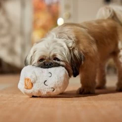 Frisco Halloween Trick Or Treat Ghost Plush Squeaky Dog Toy 8 Frisco Halloween Trick Or Treat Ghost Plush Squeaky Dog Toy -Pet Dog Supplies Shop 667974 PT3. AC SS1800 V1689350978