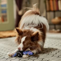 Frisco Halloween Bat Fetch Squeaky Tennis Ball Dog Toy 8 Frisco Halloween Bat Fetch Squeaky Tennis Ball Dog Toy -Pet Dog Supplies Shop 668278 PT3. AC SS1800 V1689350166