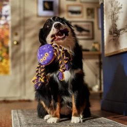 Frisco Halloween Magical Spider Plush With Rope Squeaky Dog Toy 8 Frisco Halloween Magical Spider Plush With Rope Squeaky Dog Toy -Pet Dog Supplies Shop 668310 PT3. AC SS1800 V1690571954