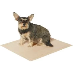 Frisco Large Eco-Conscious Dog Training & Potty Pads & American Journey Peanut Butter Recipe Grain-Free Oven Baked Crunchy Biscuit Dog Treats -Pet Dog Supplies Shop 678574 PT3. AC SS1800 V1667863365