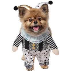 Frisco Front Walking Glitter Clown Dog & Cat Costume -Pet Dog Supplies Shop 707542 PT2. AC SS1800 V1689351699