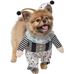 Frisco Front Walking Glitter Clown Dog & Cat Costume -Pet Dog Supplies Shop 707542 PT3. AC SS1800 V1689278296