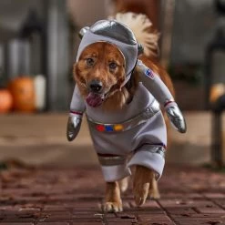 Frisco Front Walking LED Astronaut Dog & Cat Costume -Pet Dog Supplies Shop 707630 PT7. AC SS1800 V1689278700