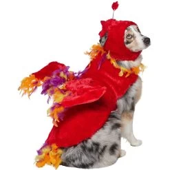 Frisco Flying Phoenix Dog & Cat Costume
