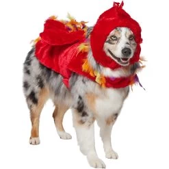 Frisco Flying Phoenix Dog & Cat Costume -Pet Dog Supplies Shop 708150 PT3. AC SS1800 V1691084928