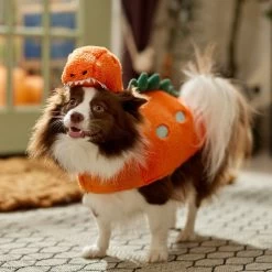 Frisco Furry Dinosaur Dog & Cat Costume -Pet Dog Supplies Shop 708190 PT7. AC SS1800 V1689278373